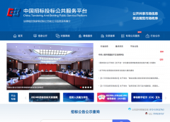 2025年单项目采购规模最高达22